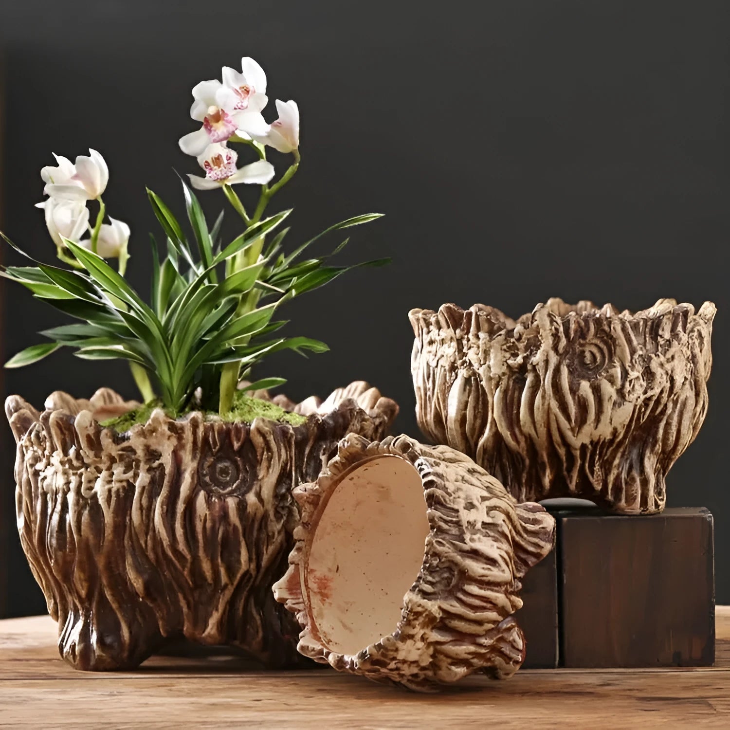 Ceramic wood shaped tree root flower pot in pastoral style, available in three sizes for succulent home gardening