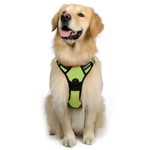 Adjustable nylon dog harness vest in blue, side view showing chest strap and buckle