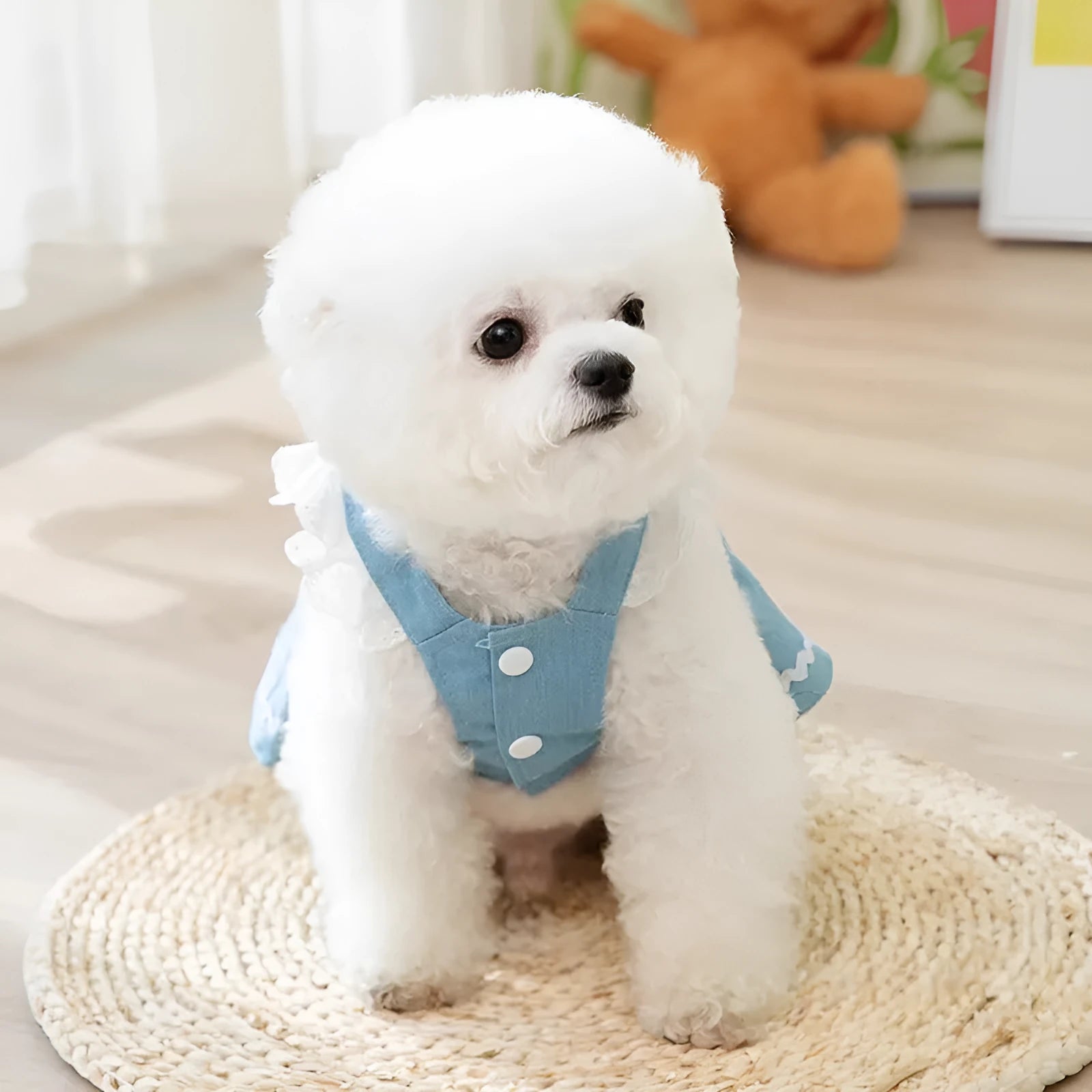 Bondi Blue strawberry traction denim skirt dog clothes for small dogs in sizes XS to XL.