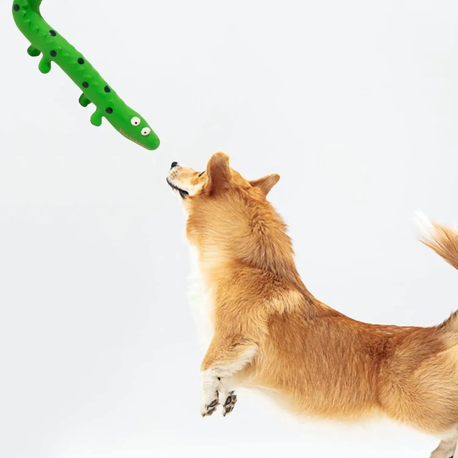 Green cartoon lizard shaped latex dog squeaky chew toy on a white background.