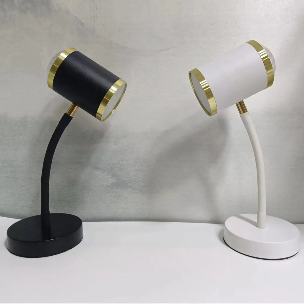 Double-headed black photography lamp with metal base and wired switch for live streaming studio lighting.