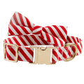 Striped green dog collar with adjustable buckle and a matching bow, showing custom engraving space.