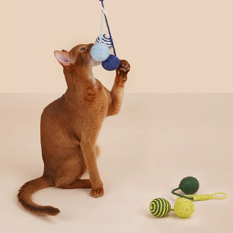 Cat toy set showing teaser wand with catnip ball attachment in multiple colour options