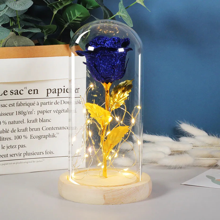 Eternal rose flower under glass cover with warm white LED strip light, six colour options