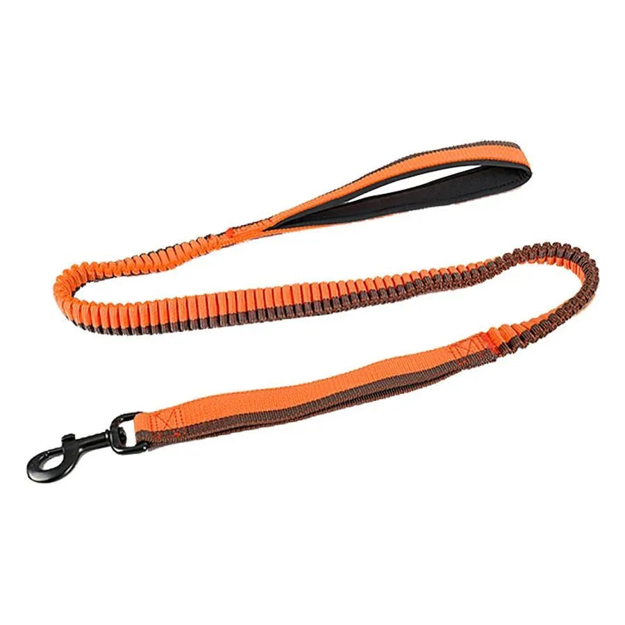 Green elastic dog training leash with metal clip for medium and large breed control