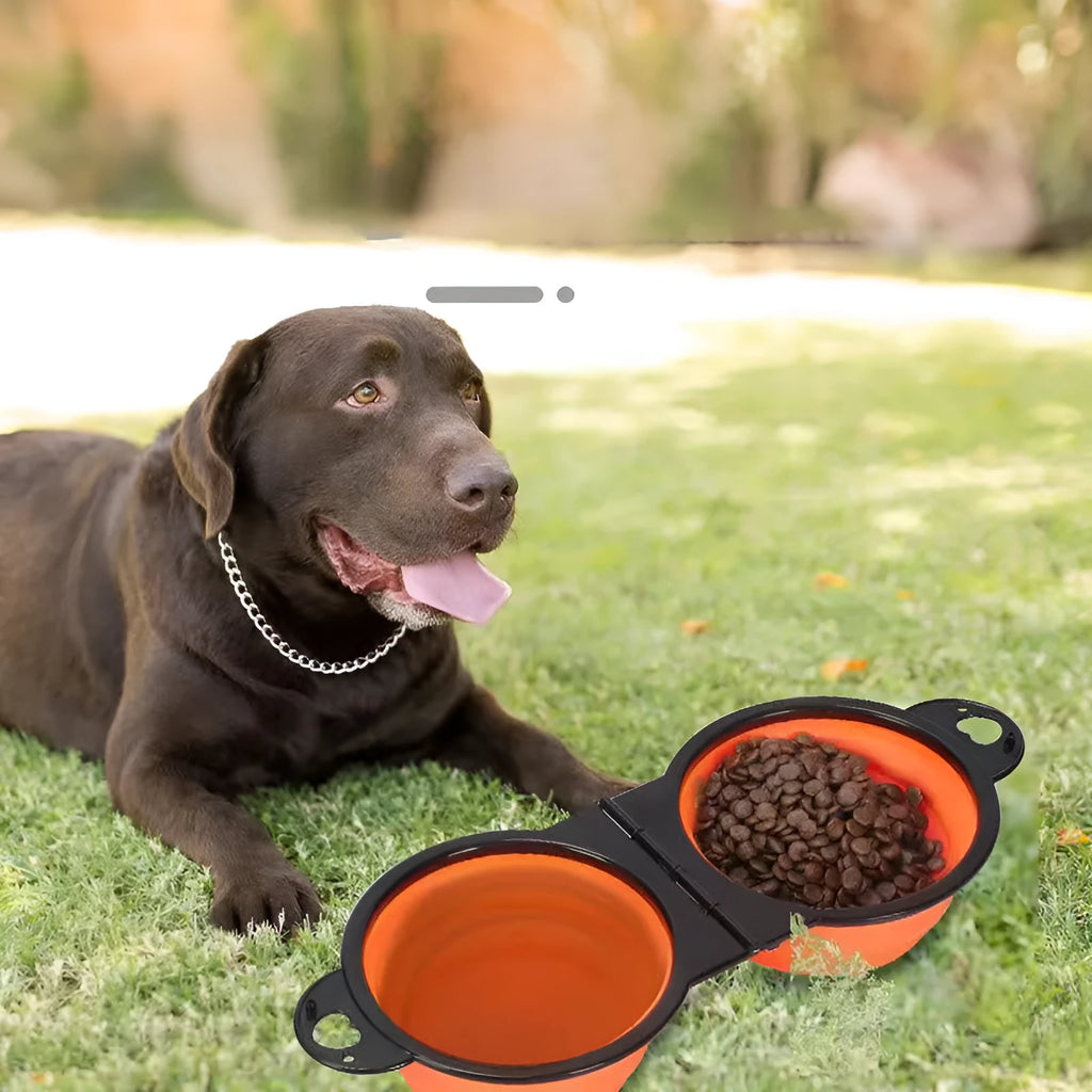 Blue silicone folding double pet bowl showing food and water compartments, collapsed and unfolded views
