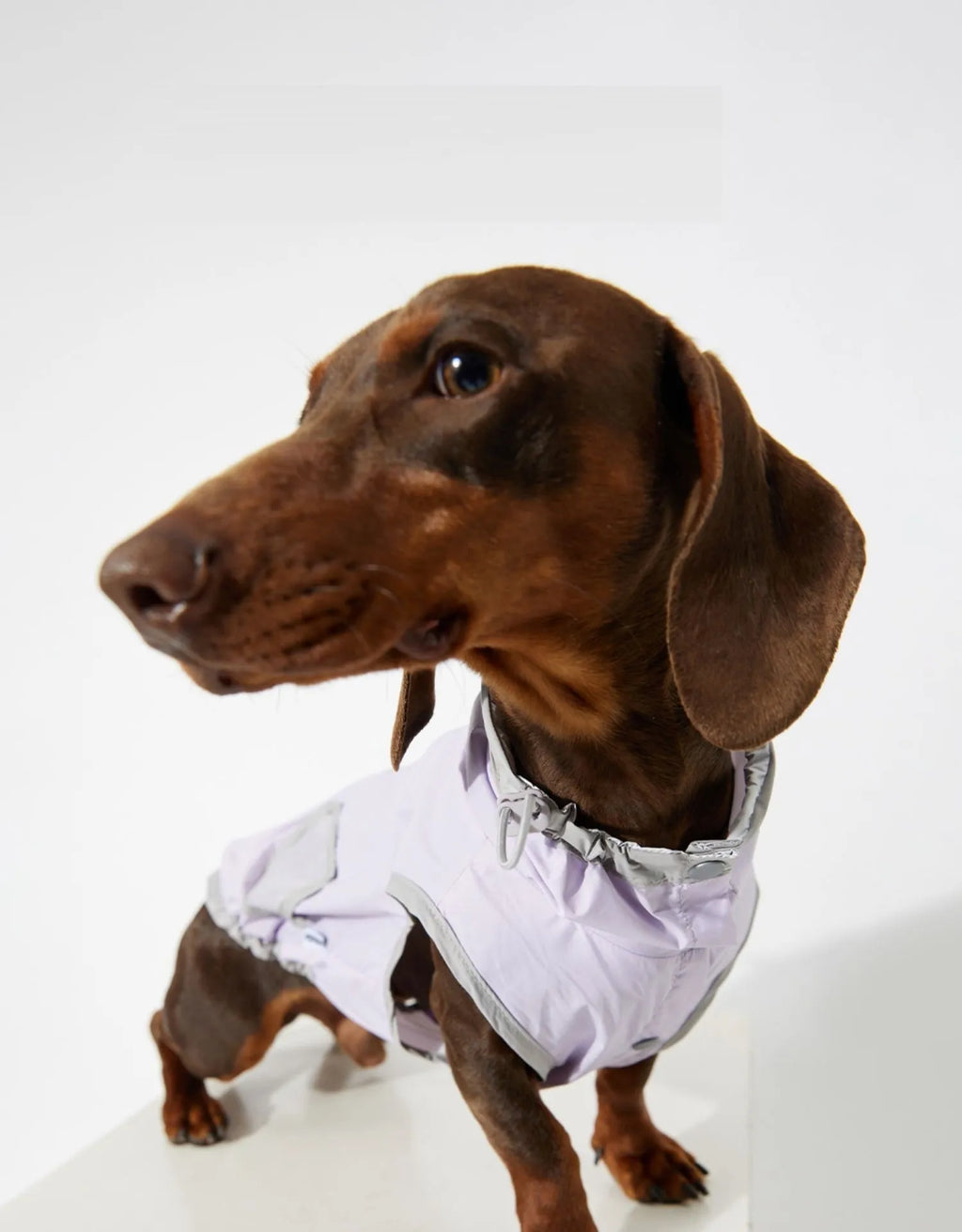 Ultra-thin dog vest raincoat in purple, yellow, or blue, water and dirt resistant with wind shield, sizes S M L XL