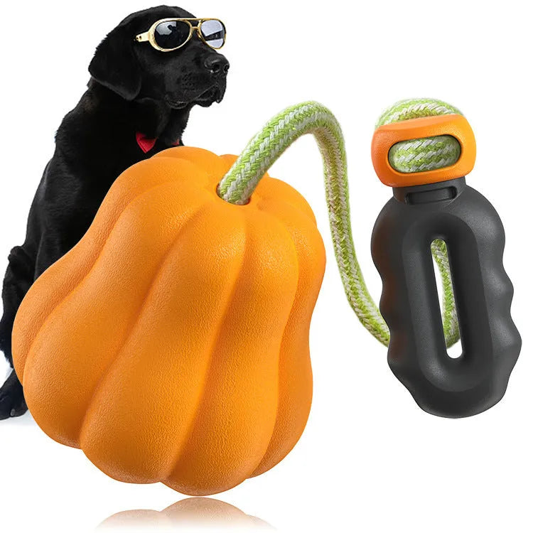 Orange plastic molar-shaped dog toy with attached rope for outdoor fetching and tugging games