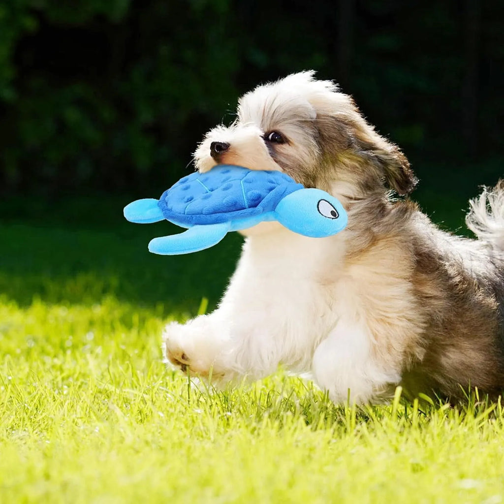 Blue sea turtle plush dog chew toy with squeaker, crinkle and rattling paper sounds.