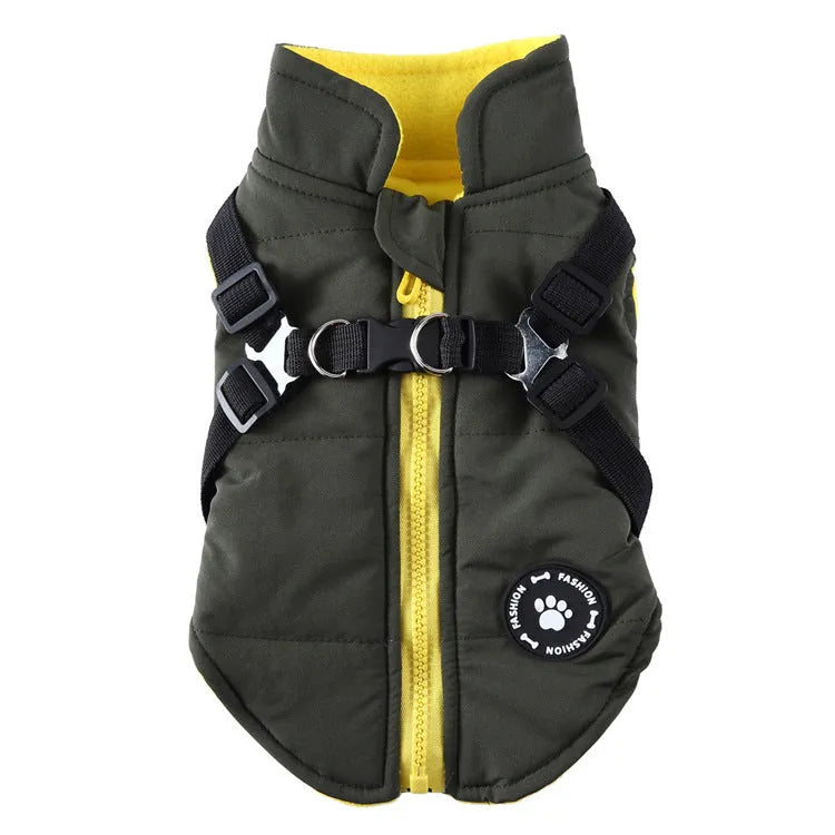 Adjustable chest strap dog winter jacket in blue, showing the strap closure and cotton-padded design.