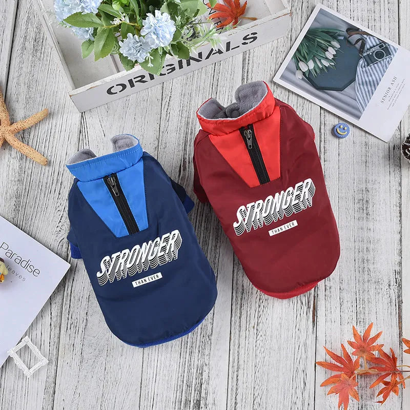 Red and blue V-neck thick cotton dog coat for pets on a size chart background