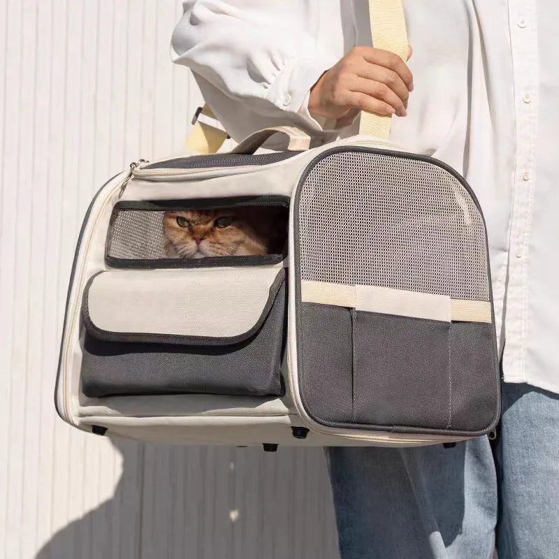 See through breathable large capacity pet bag foldable travel carrier for small pets in blue