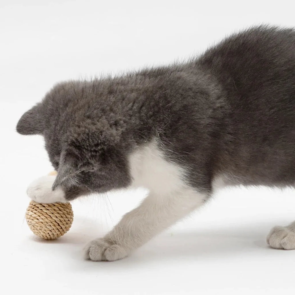 Two cat toy balls: one rattan ball and one faux feather ball with bells