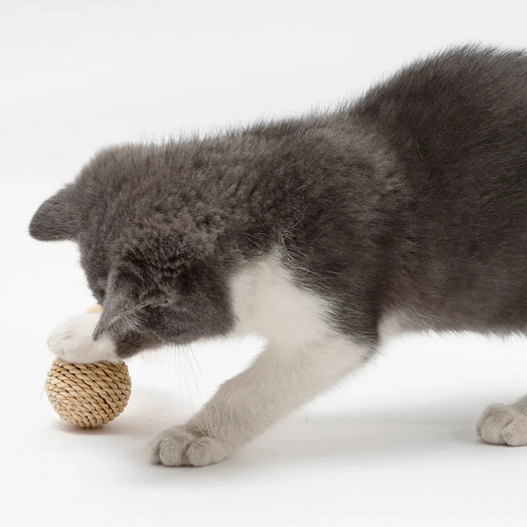 Two cat toy balls: one rattan ball and one faux feather ball with bells