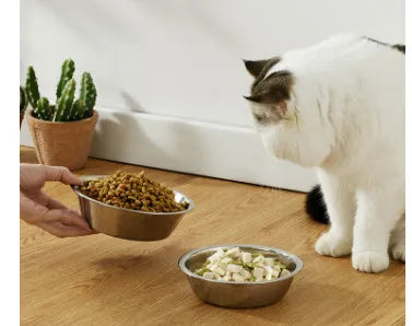 Stainless steel non-slip pet bowl for cats and dogs in various sizes.
