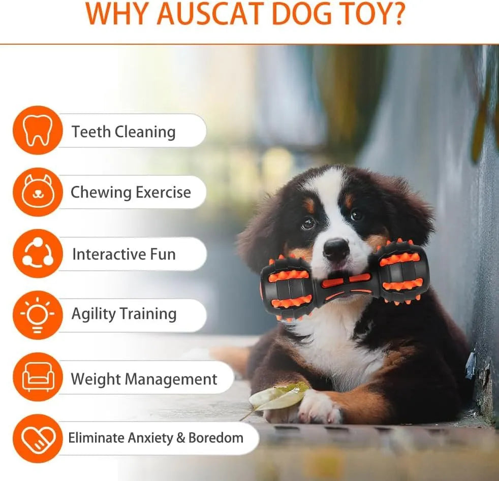 Red dumbbell-shaped durable rubber dog toy for aggressive chewers with a squeaker inside.