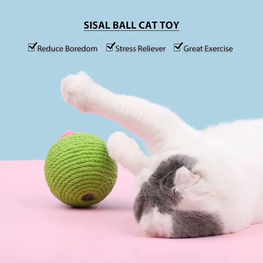 Green cactus-shaped cat scratcher ball with natural sisal scratching surfaces and integrated catnip toys