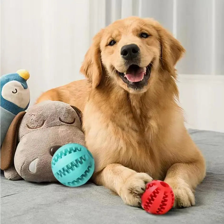 Blue interactive TPR and cotton rope dog toy for small dogs, 36x6x6 cm