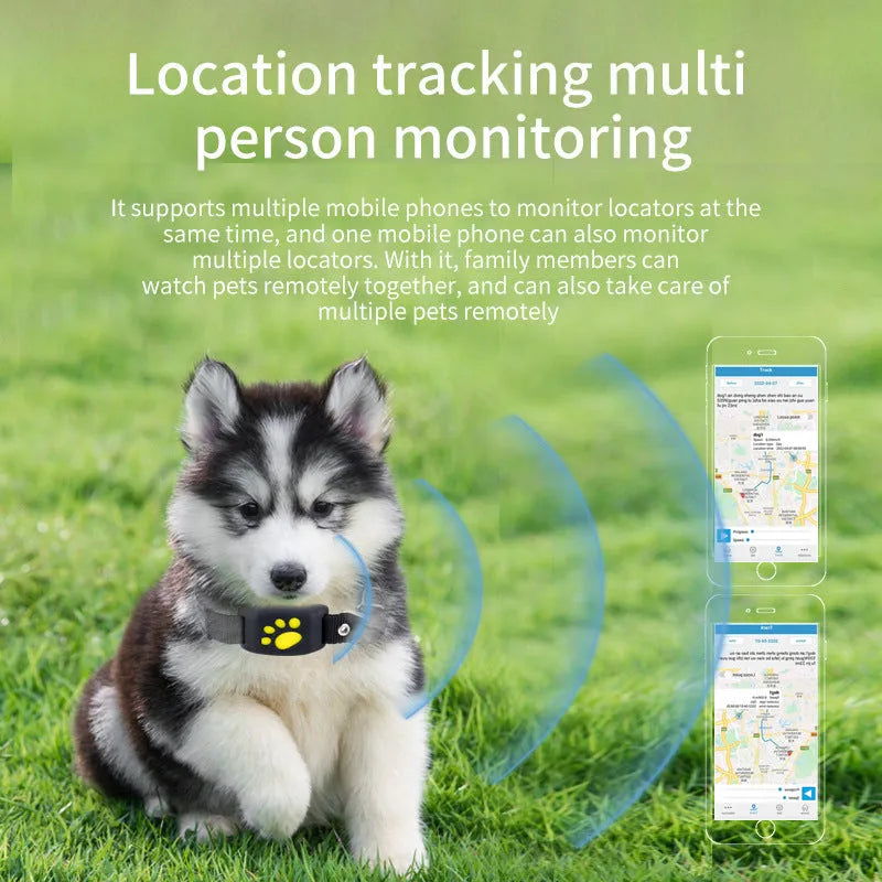 Compact black and yellow waterproof GPS pet tracker device with dimensions 65.5mm by 37mm.