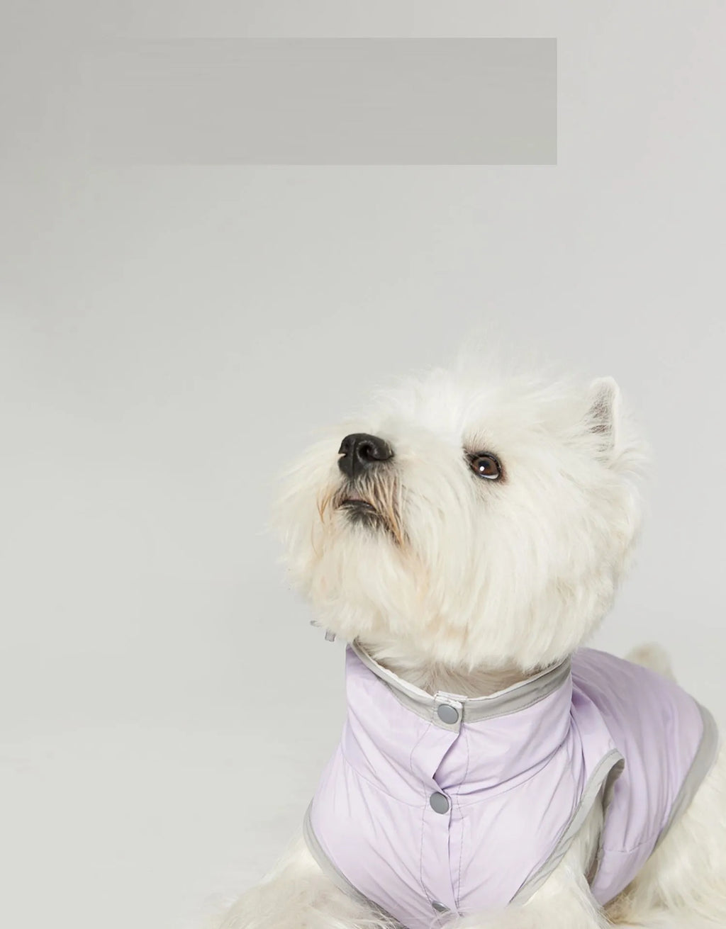 Ultra-thin dog vest raincoat in purple, yellow, or blue, water and dirt resistant with wind shield, sizes S M L XL