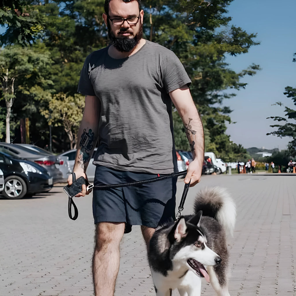 Retractable dog rope leash in blue, polyester hand-held lead, 2.5x135cm, for walking
