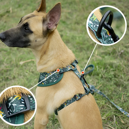 Adjustable cloth dog harness and leash six-piece set showing vest, collar, bow tie, scarf, waste bag, and leash in a gift package.