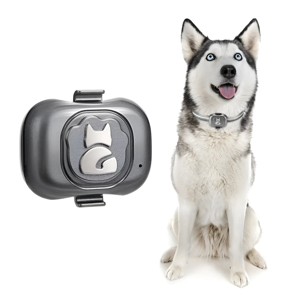 Black pet GPS locator device with hanging rope for collar attachment showing IP67 waterproof rating