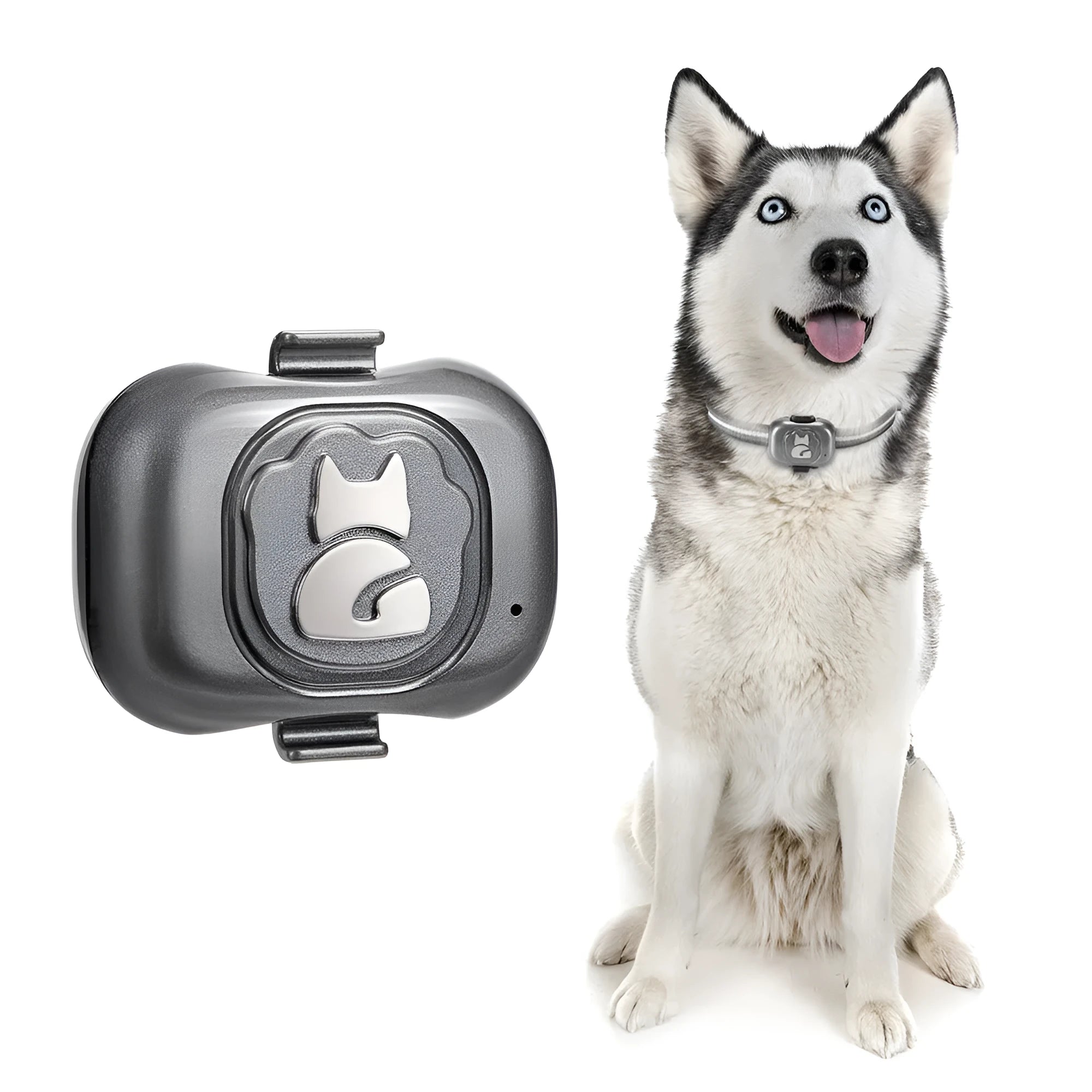 Black pet GPS locator device with hanging rope for collar attachment showing IP67 waterproof rating