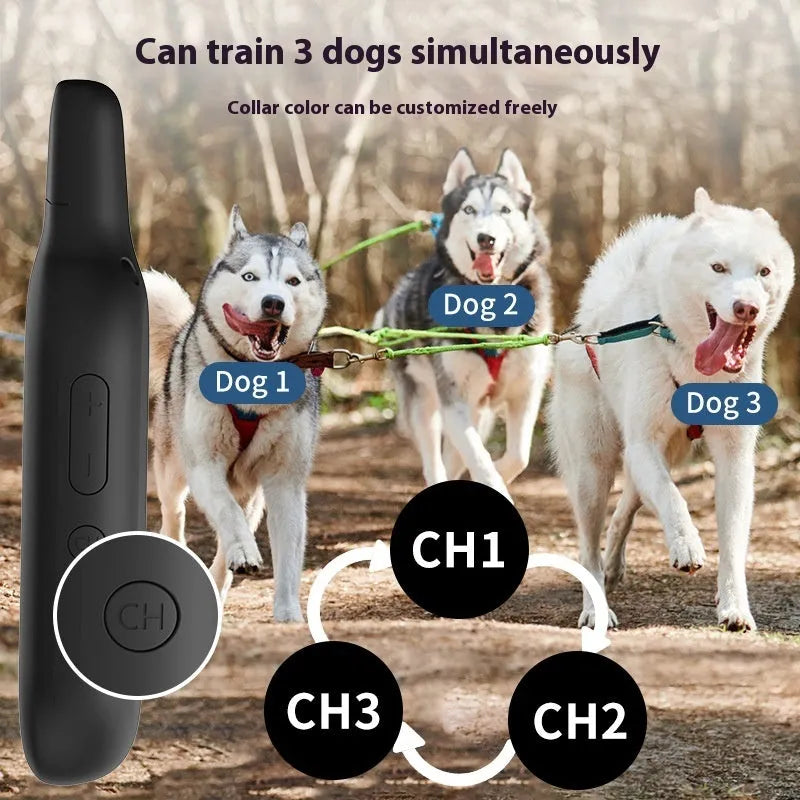 Black waterproof remote control dog training collar with ABS receiver and nylon or TPU strap