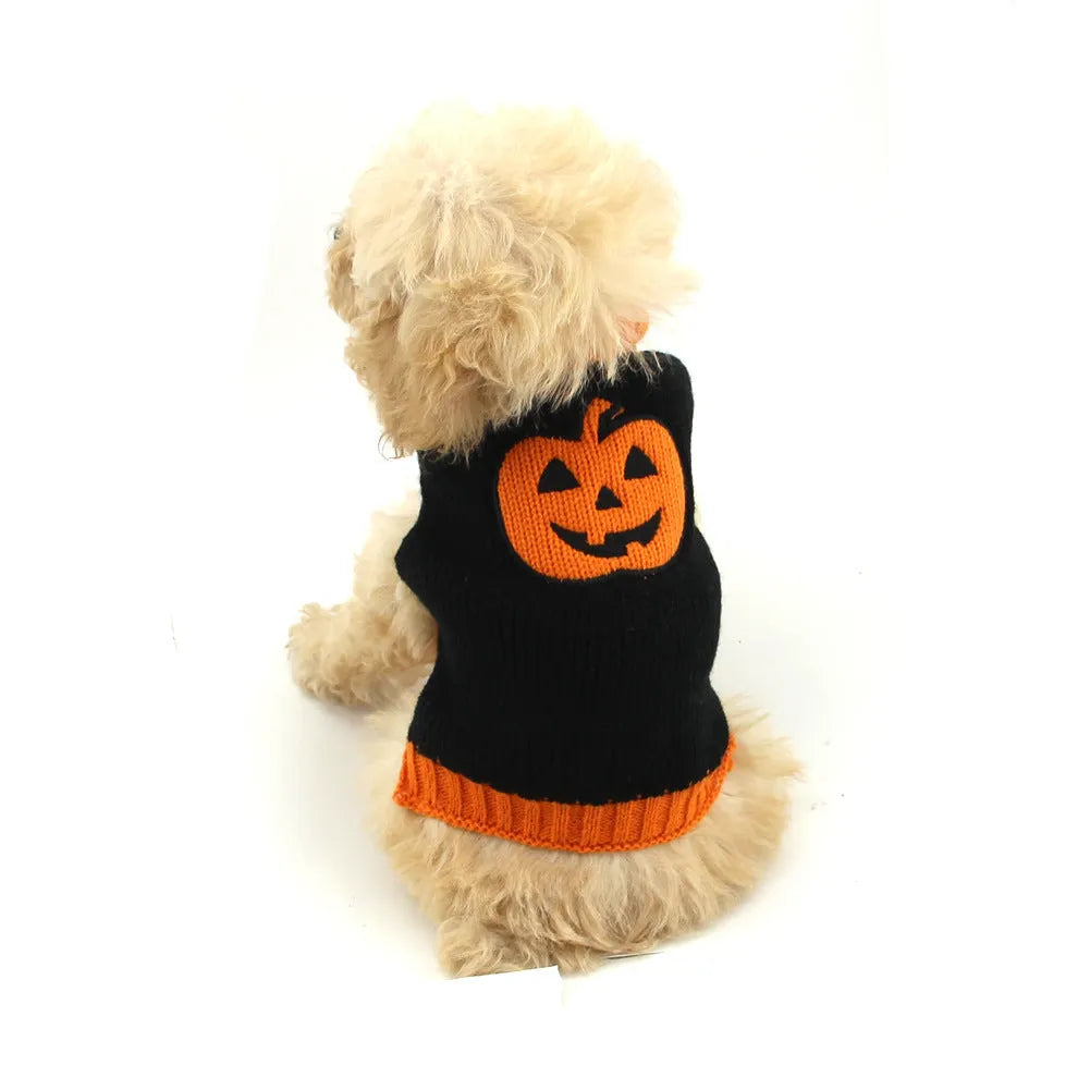 Orange black pumpkin knitted dog sweater on a small breed dog with a Halloween theme and visible knit texture