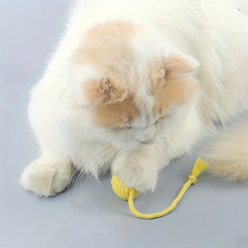 Colourful cat toy ball with rope attachment and built-in bell for interactive pet play