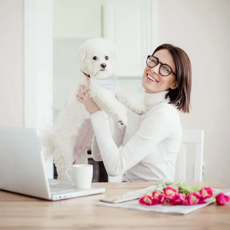 Blank white polyester dog scarf for thermal transfer customisation in four sizes