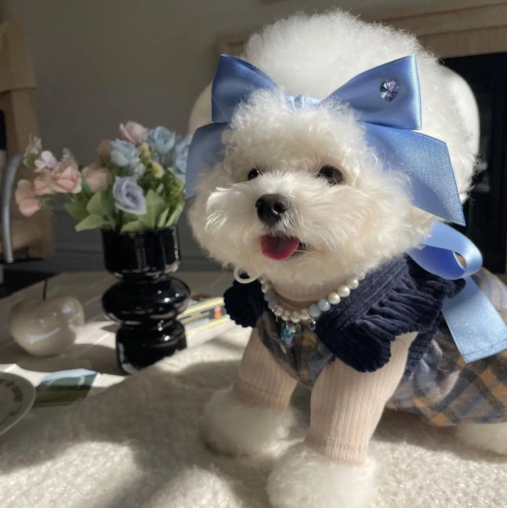 Blue princess style dog hair band with adjustable bow on a dog's head.