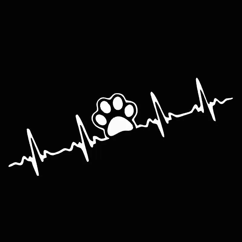 Creative ECG heartbeat design car bumper decorative sticker in colour gradient on a vehicle body
