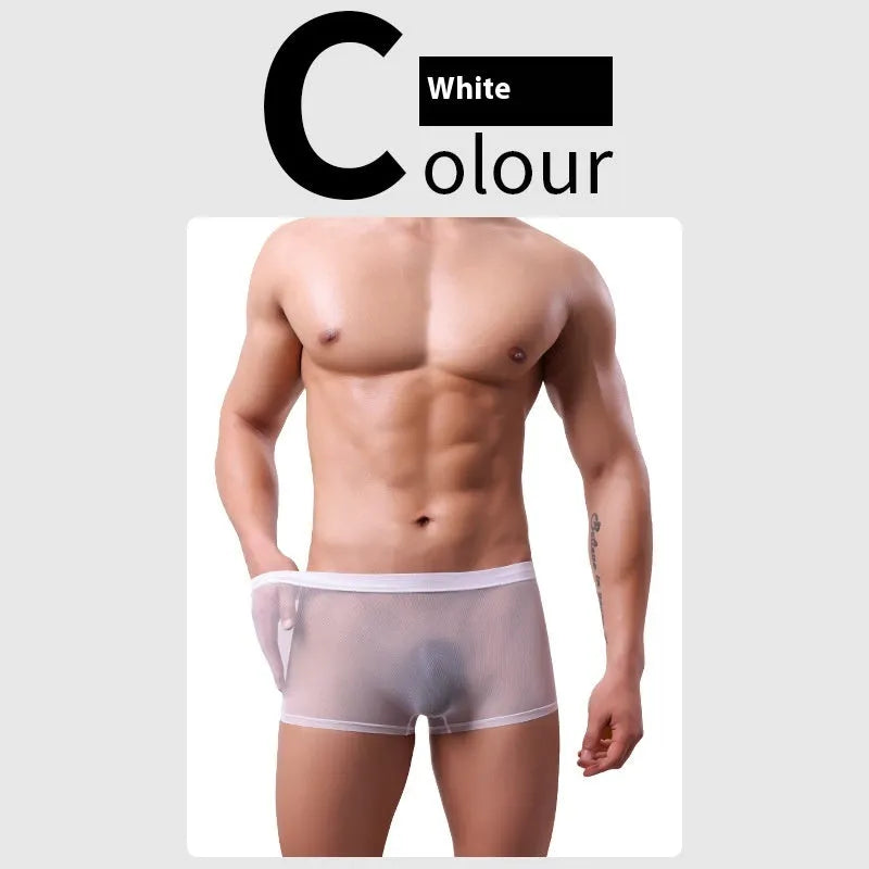 Men's low-waist mesh boxer briefs in thin sheer polyester fabric, shown in multiple colours.