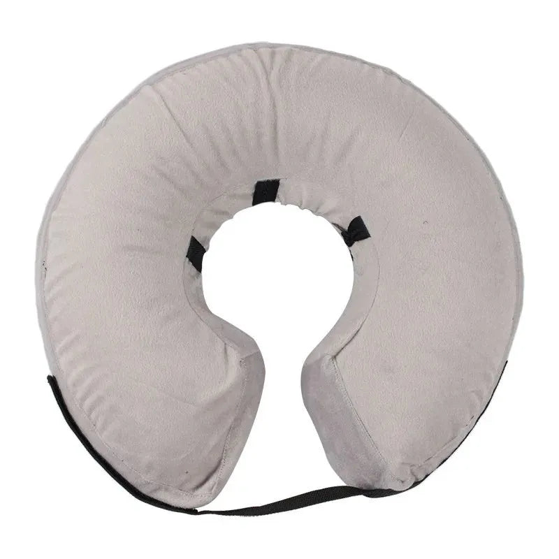 Blue inflatable soft recovery collar for a dog, showing adjustable air valve.