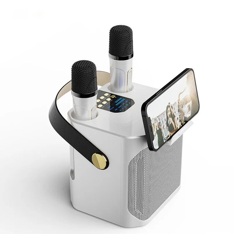 Dual stereo portable karaoke speaker box with two microphones, white or black, 143x168x171mm