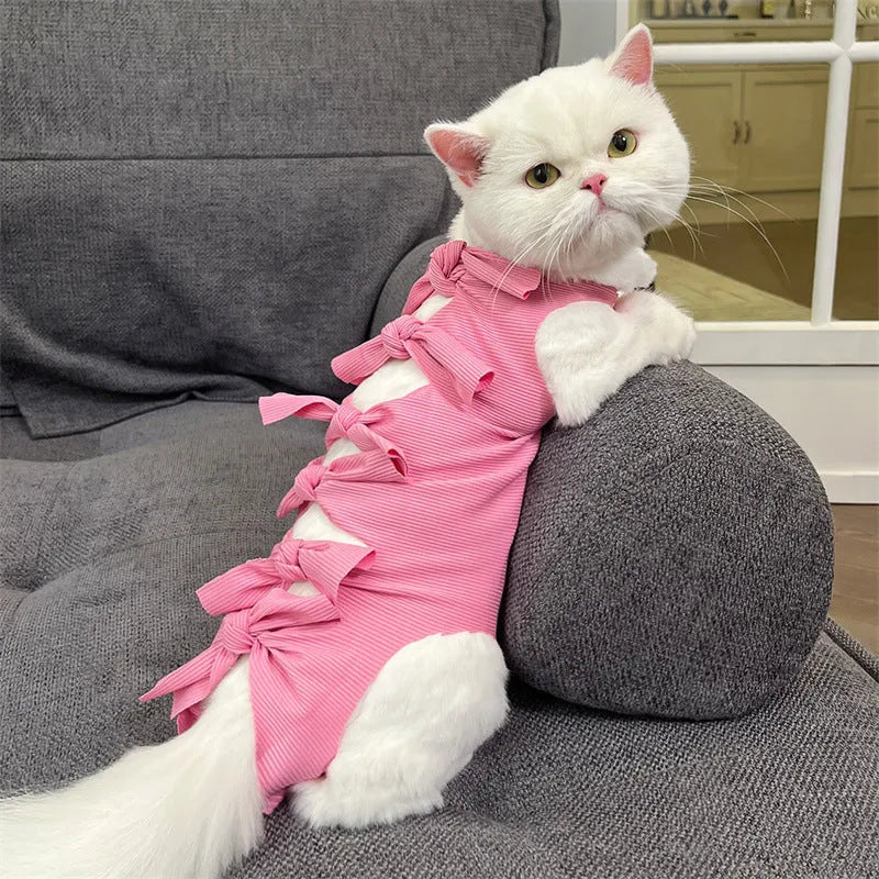 Blue lace-up cat recovery suit on a tabby cat, showing the back closure and full-body fit.