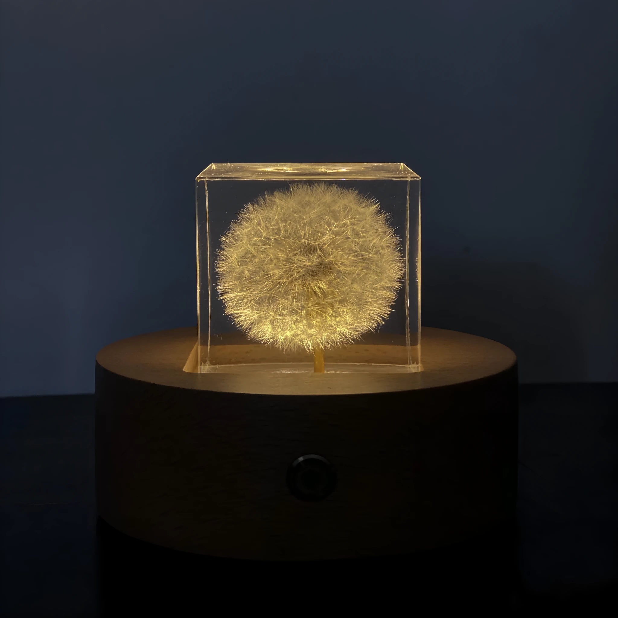 5cm clear resin cube with a real dandelion inside, next to a wooden box and USB charging base.