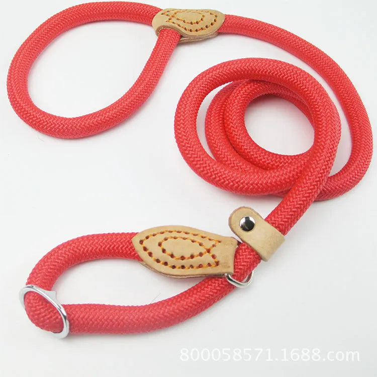 Brown nylon dog leash with P-chain clip measuring 2.1 metres long
