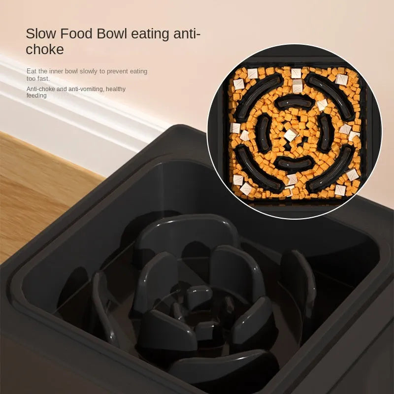 Adjustable height black dog feeding stand with two stainless steel bowls on non-slip base