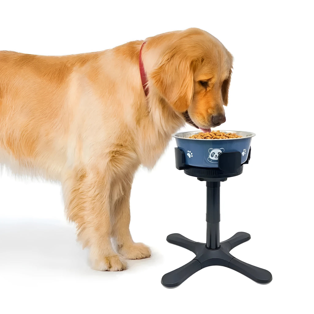 Adjustable elevated dog bowl stand with anti-slip pet bowl holder for medium and large pets