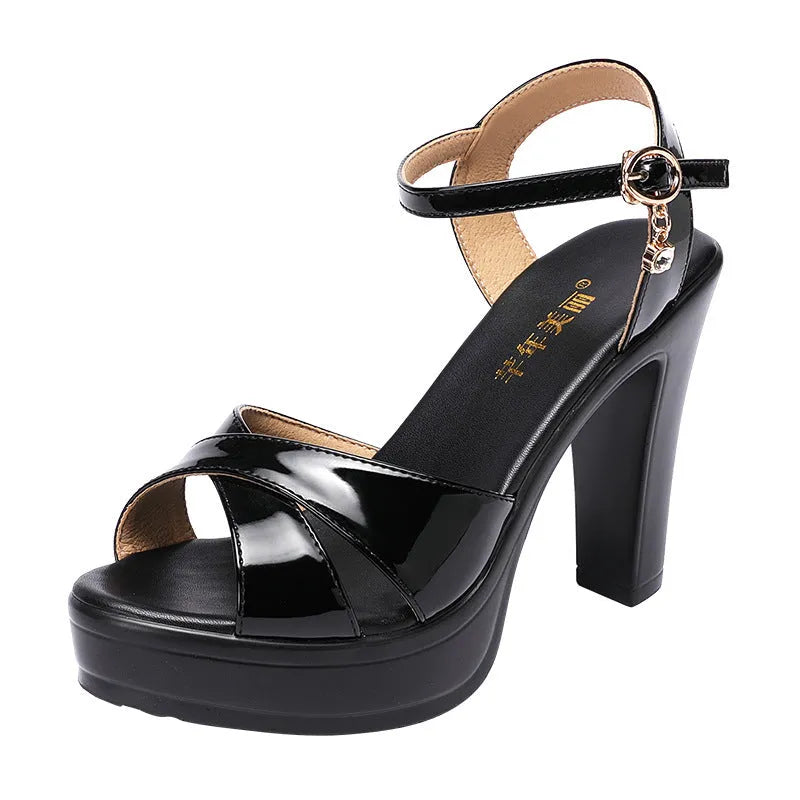 Women's chunky heel platform shoes patent leather with rhinestone buckle 10cm height fish mouth toe