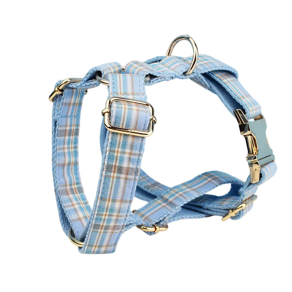 Sky blue grid pattern dog collar and leash set with matching bow and vest accessories