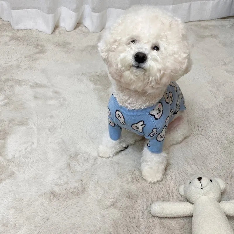 Small dog wearing a blue knitted winter sweater with a charming pattern, soft polyacrylic material