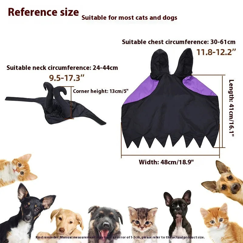 Black polyester Halloween dog cloak and hat set on a dog for pet costume