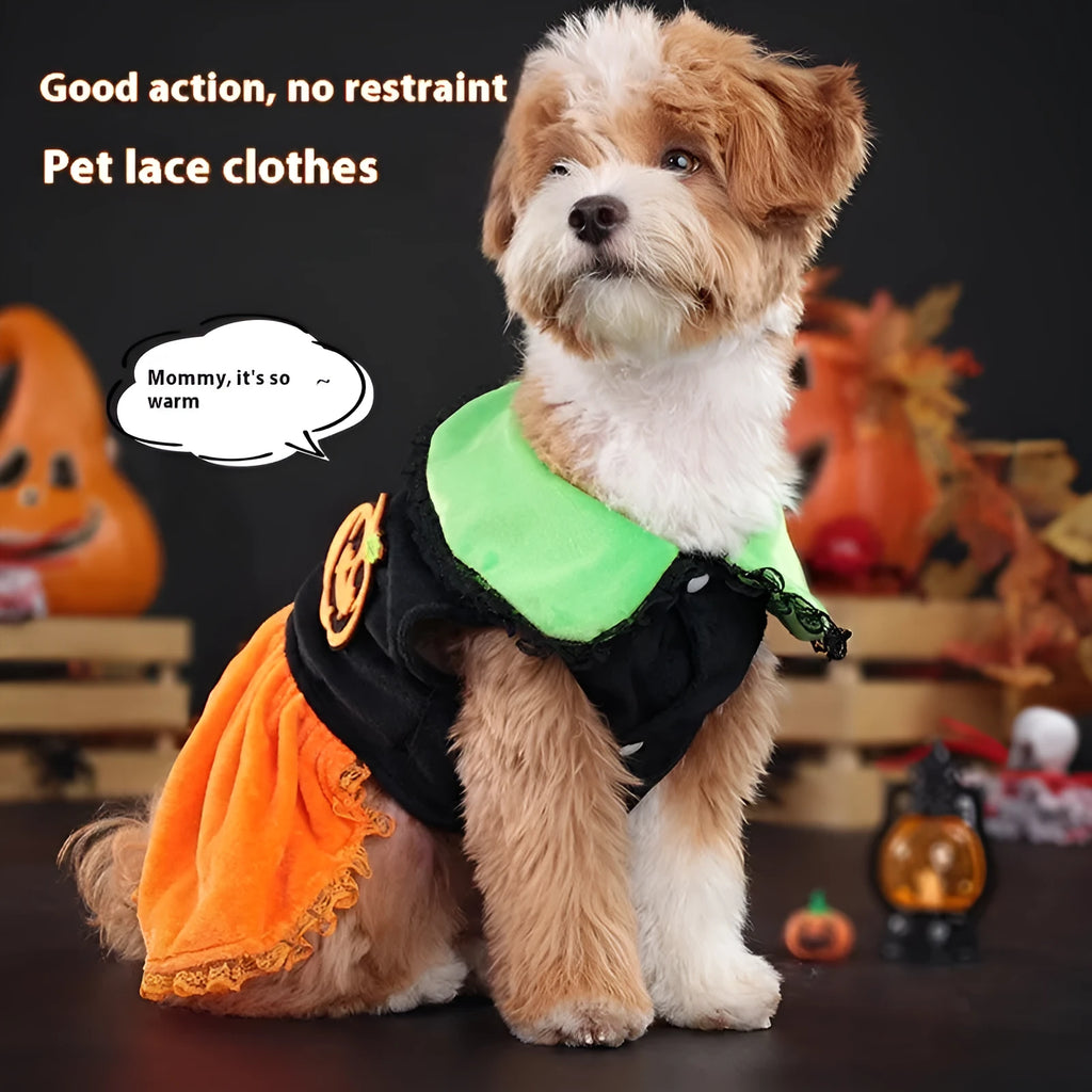 Halloween pumpkin skirt pet costume on small dog with crystal velvet material