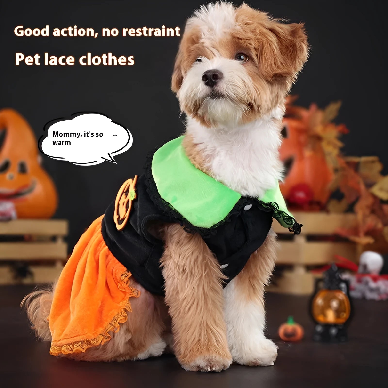 Halloween pumpkin skirt pet costume on small dog with crystal velvet material