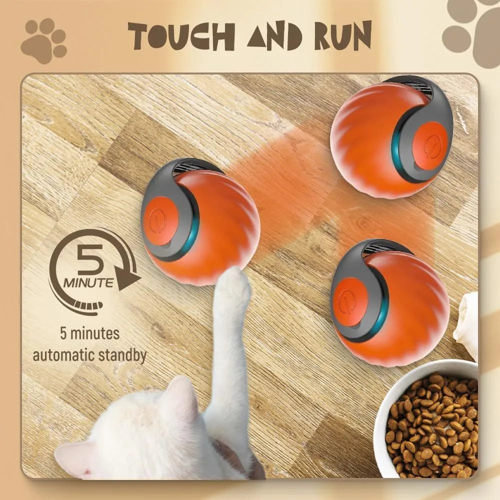 Blue interactive rolling ball pet toy for cats and dogs on indoor floor