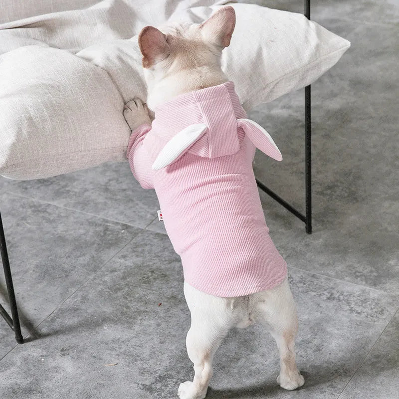 Light grey soft fabric dog sweater for spring and autumn, pullover style on a small dog